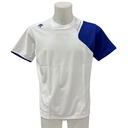 DESCENTE Performance Training Shirt – Herren Funktionsshirt – Weiß/Blau